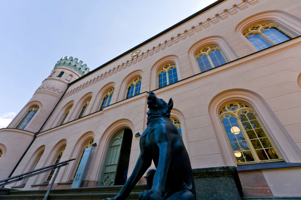 Urlaub mit Hund in Binz- hundefreundliche Ferienhäuser entdecken!