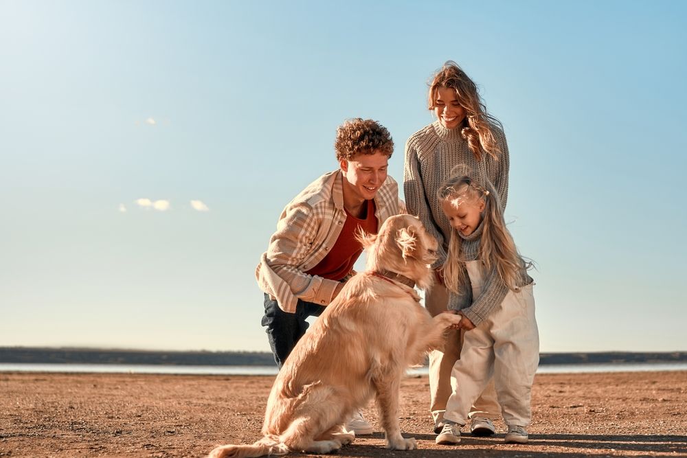 Ferienwohnungen und Ferienhäuser in Cuxhaven - Urlaub mit Hund an der Nordsee