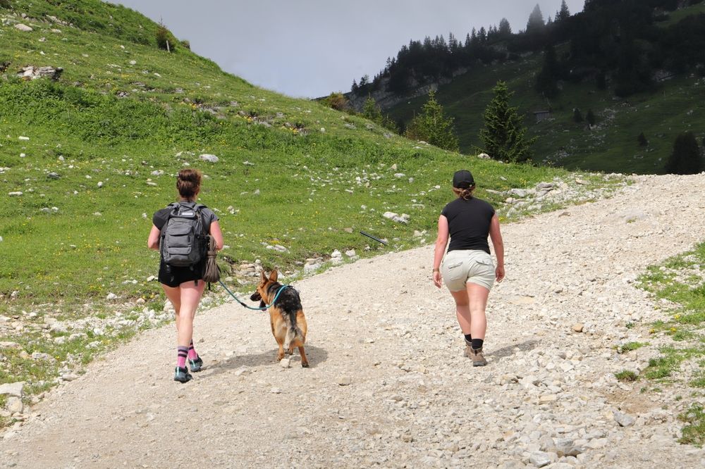 Naturerlebnisse und Wanderungen mit Hund im Allgäu