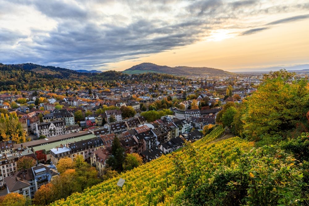 Freiburg entdecken - Ferienhaus oder Ferienwohnung in Freiburg mieten
