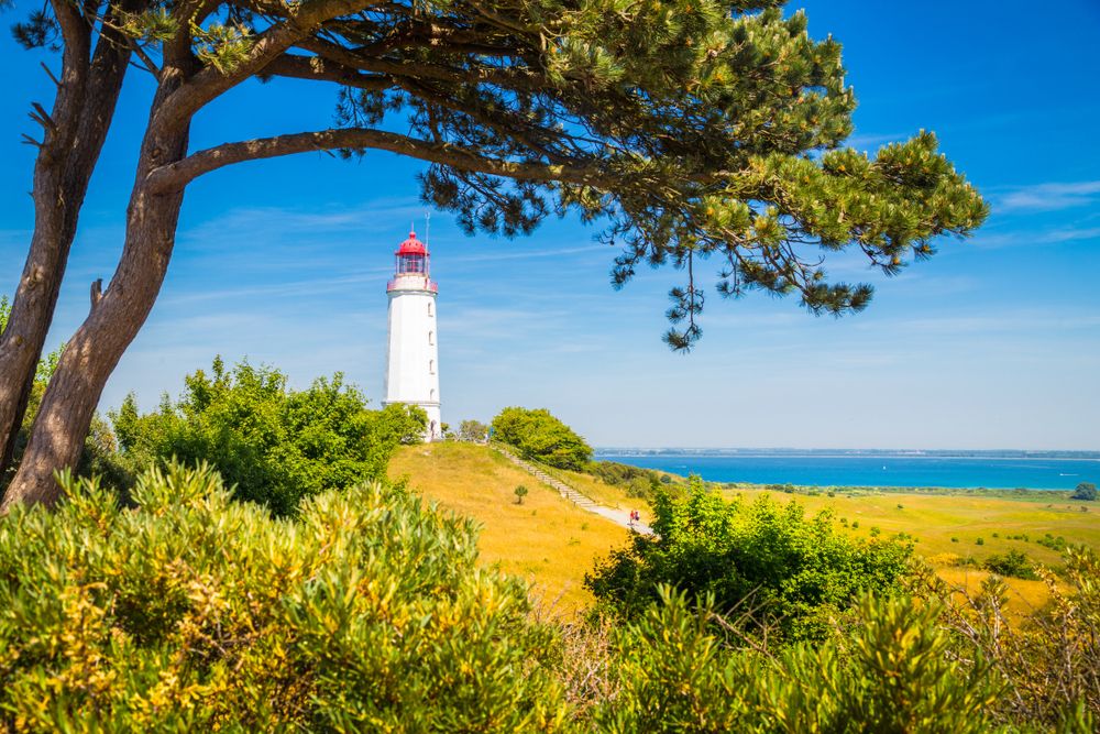 Urlaub auf Hiddensee - Warum die Insel eine Reise wert ist