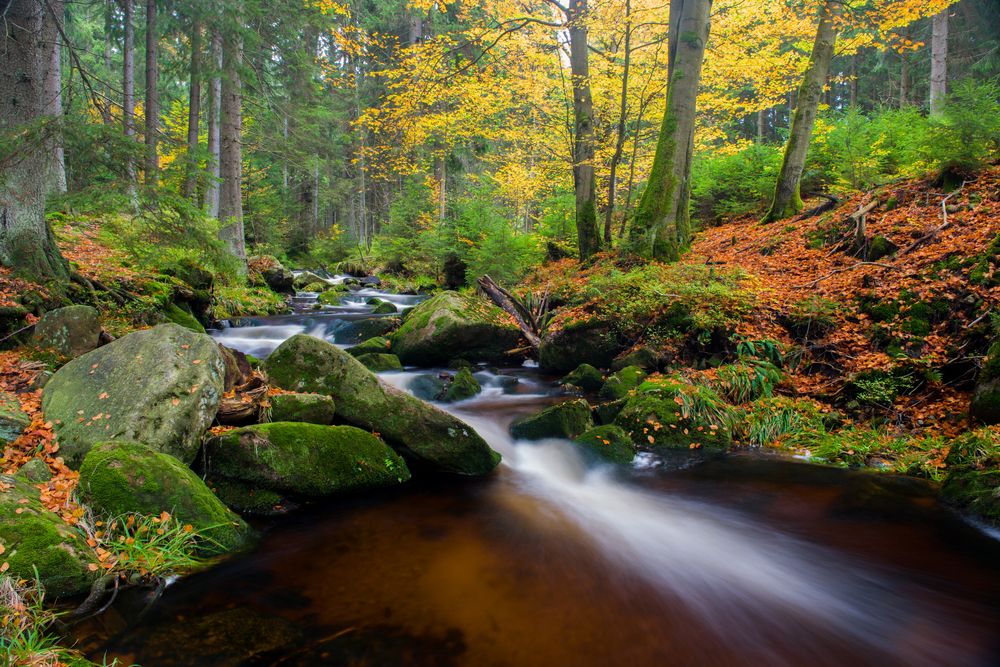 Welche Regionen und Ortsteile sind in Braunlage besonders beliebt?