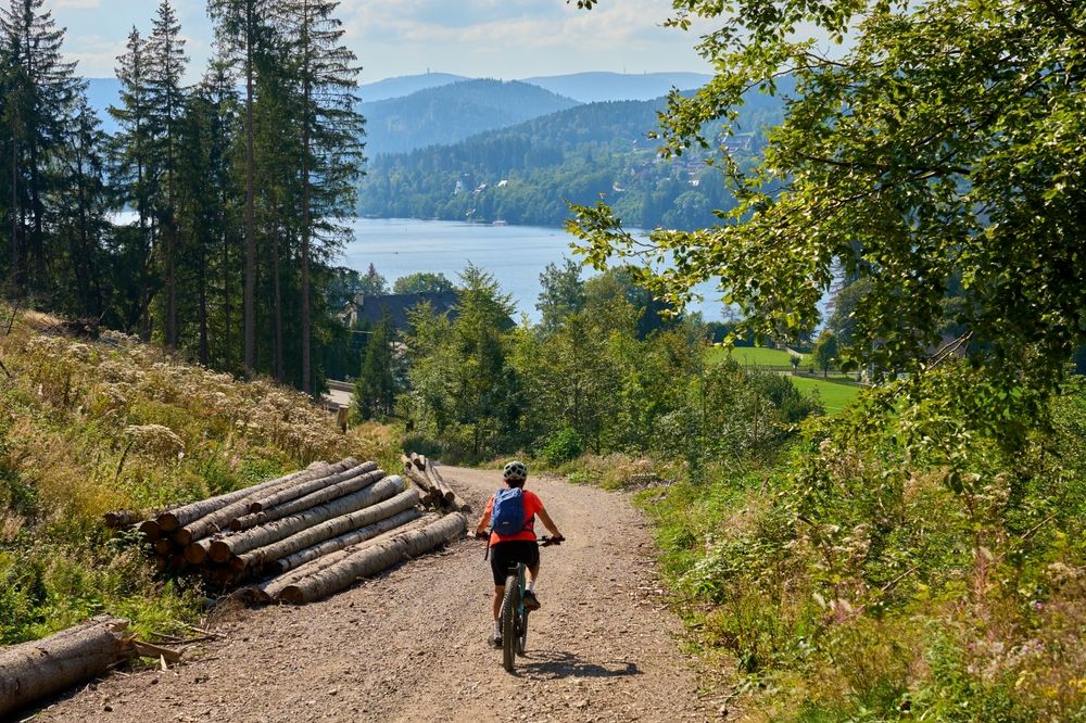 Welche Sehenswürdigkeiten und Attraktionen gibt es im Schwarzwald?