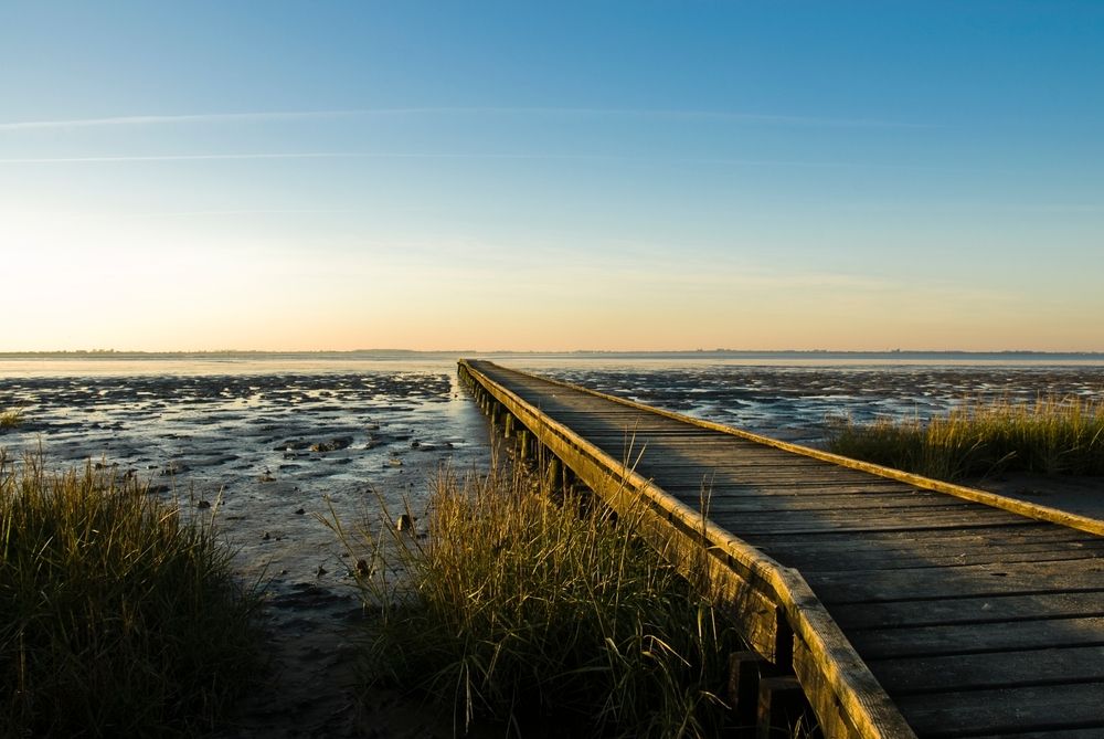 Welche Regionen und Ortsteile sind in Dangast besonders beliebt?