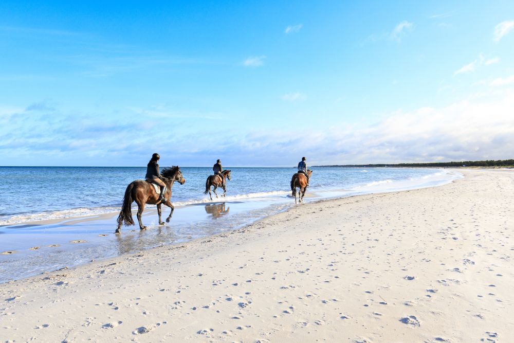 Wo befinden sich die schönsten Strände für Ihren Zingst Urlaub?