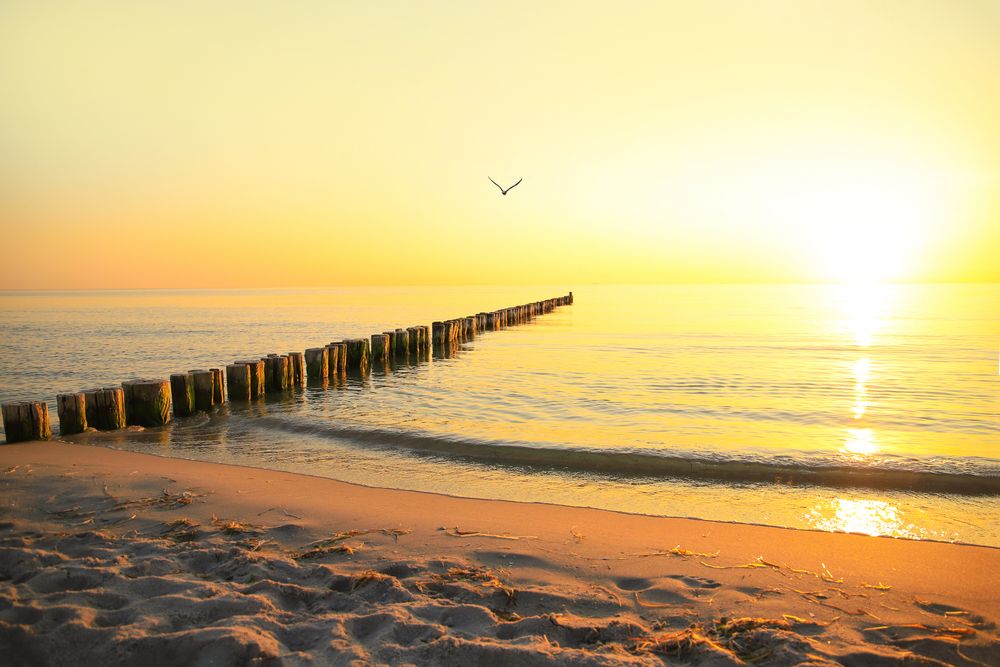 Ferienwohnung mit Meerblick in Zingst
