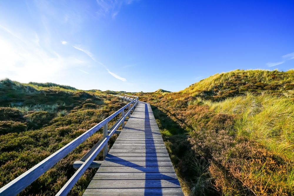 Amrum entdecken - Ihr Ferienhaus oder Ihre Ferienwohnung auf Amrum mieten!