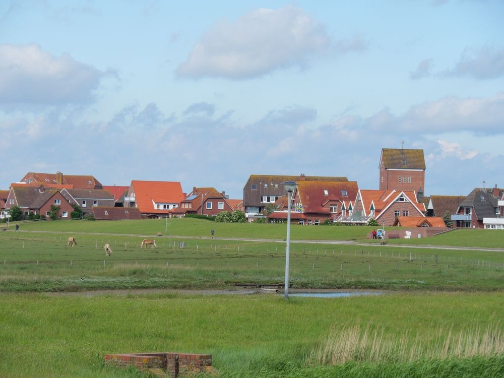 Welche Regionen sind für einen Urlaub auf Baltrum besonders beliebt?