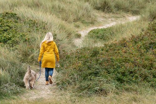 Entspannter Urlaub mit Hund in Holland - Ihr hundefreundliches Ferienhaus wartet!