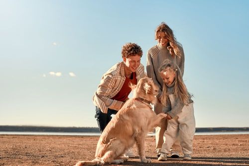 Die besten Regionen für Urlaub mit Hund an der Ostsee
