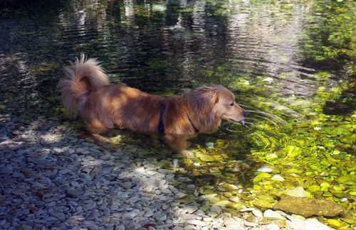 Urlaub in Labin - Rabac