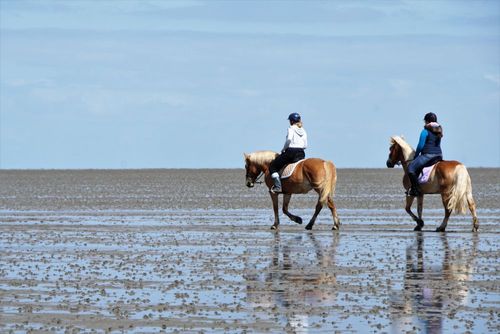 Urlaub in Duhnen - Warum der Küstenort bei Cuxhaven eine Reise wert ist