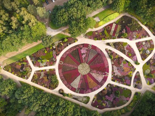 Lüneburger Heide entdecken - Ferienwohnung oder Ferienhaus in der Lüneburger Heide mieten