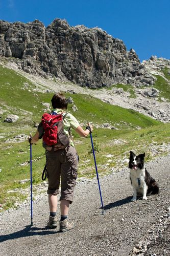 Allgäu mit Hund - Ihr hundefreundliches Ferienhaus oder Ihre Ferienwohnung entdecken!