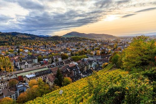 Freiburg entdecken - Ferienhaus oder Ferienwohnung in Freiburg mieten