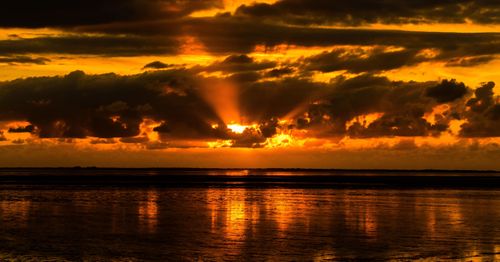 Ferienwohnung Norddeich: Erholung pur zwischen Strand und Natur
