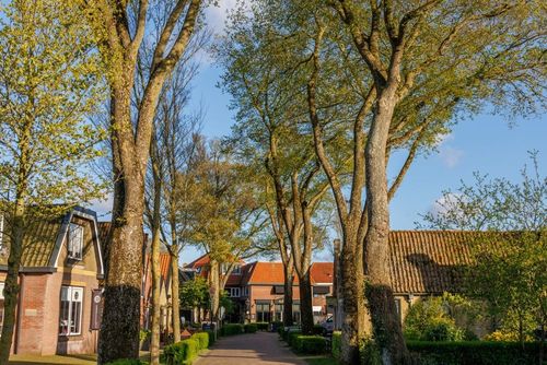 Urlaub auf Ameland – Warum die Nordseeinsel eine Reise wert ist