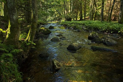 Harz Urlaub - Warum die Region eine Reise wert ist