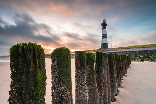 Breskens Urlaub - Warum die Region an der Nordseeküste eine Reise wert ist