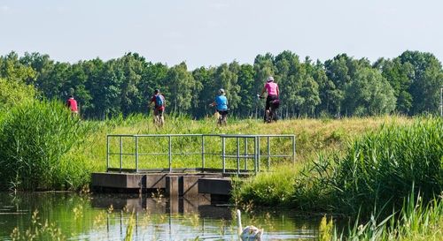 Welche Sehenswürdigkeiten und Attraktionen gibt es im Spreewald?**
