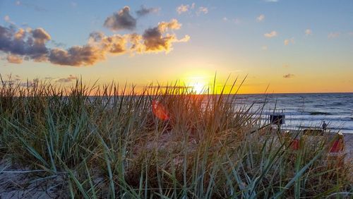 Welche Sehenswürdigkeiten und Attraktionen gibt es an der polnischen Ostsee?