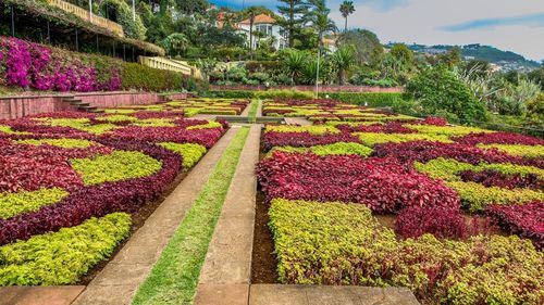 Welche Sehenswürdigkeiten und Attraktionen gibt es auf Madeira?