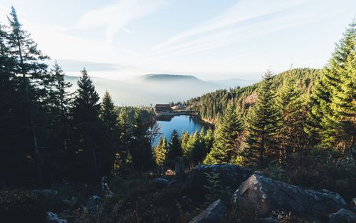 Welche Regionen sind für einen Urlaub im Schwarzwald besonders beliebt?