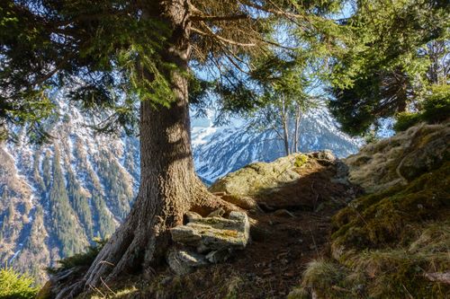 Beste Reisezeit für das Zillertal