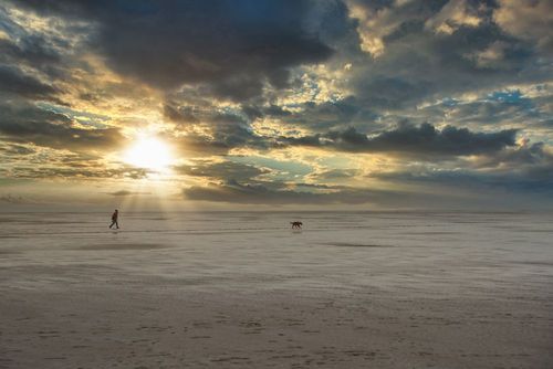Beliebte Ortsteile in St. Peter-Ording für den Urlaub mit Hund
