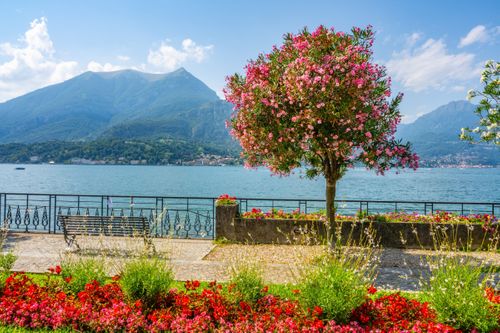 Erleben Sie Luxus und Eleganz in Bellagio