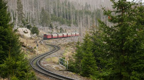 Erklimmen Sie die Höhen des Hochharzes: