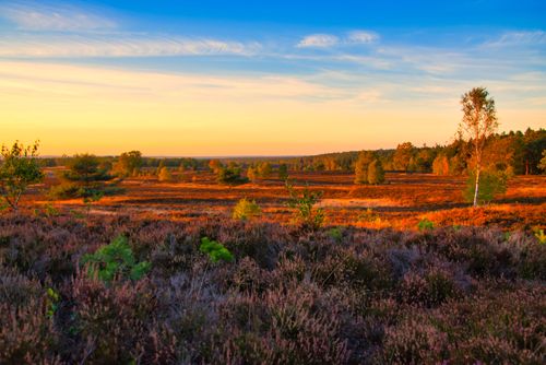 Radeln Sie durch idyllische Dörfer