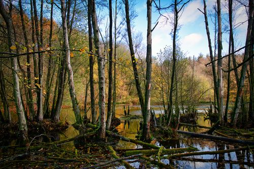 Besuchen Sie den Pönitzer Landschaftssee