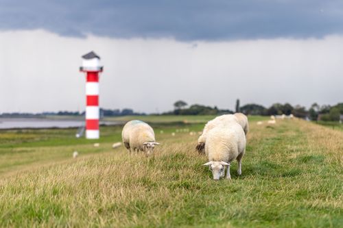 Entdecken Sie das historische Sarkwitz
