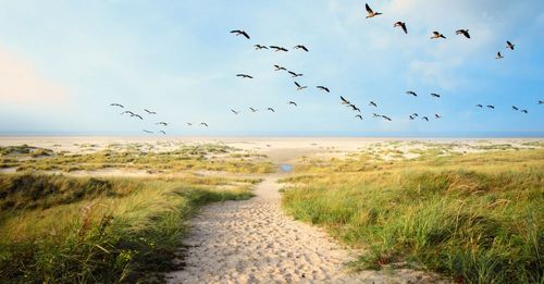 Die größte ostfriesische Insel: