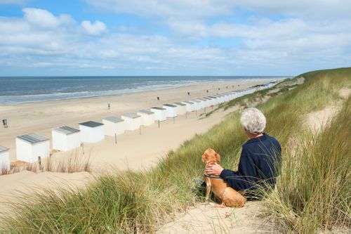 Wo kann man in Holland gut Urlaub mit Hund machen?