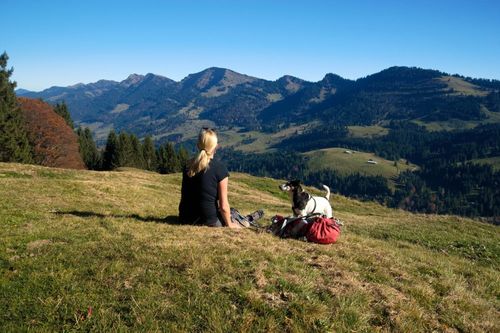 Beliebte Reiseziele im Allgäu für den Urlaub mit Hund