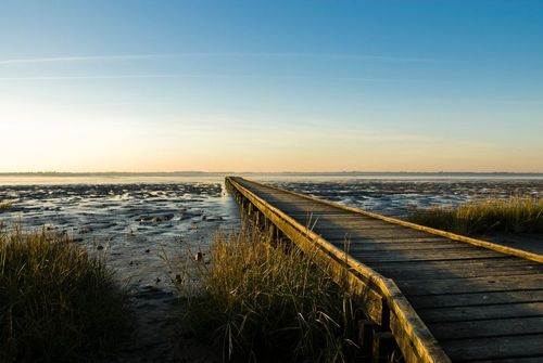 Welche Regionen und Ortsteile sind in Dangast besonders beliebt?