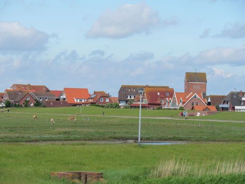 Welche Regionen sind für einen Urlaub auf Baltrum besonders beliebt?