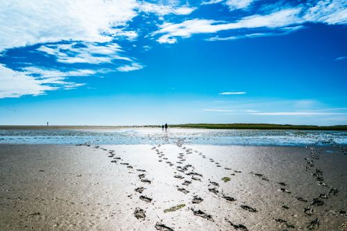 Besuch im UNESCO-Weltnaturerbe: