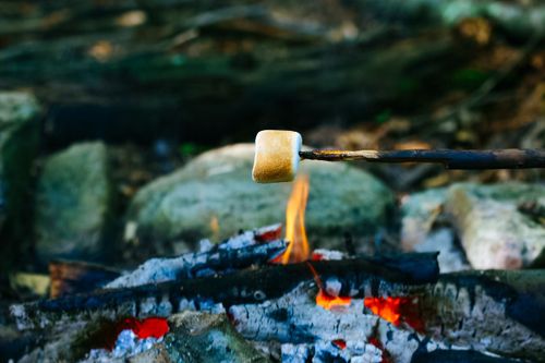 Steinzeitpark Dithmarschen: