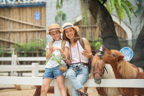 Urlaub auf dem Bauernhof- Was können Sie erwarten? 