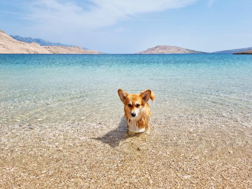 Urlaub in Pag