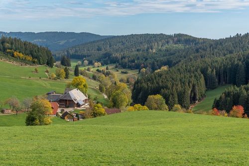 Schwarzwald entdecken - Ferienhaus oder Ferienwohnung im Schwarzwald mieten