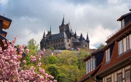 Wo befinden sich die schönsten Natur- und Erlebnisbereiche rund um Wernigerode?