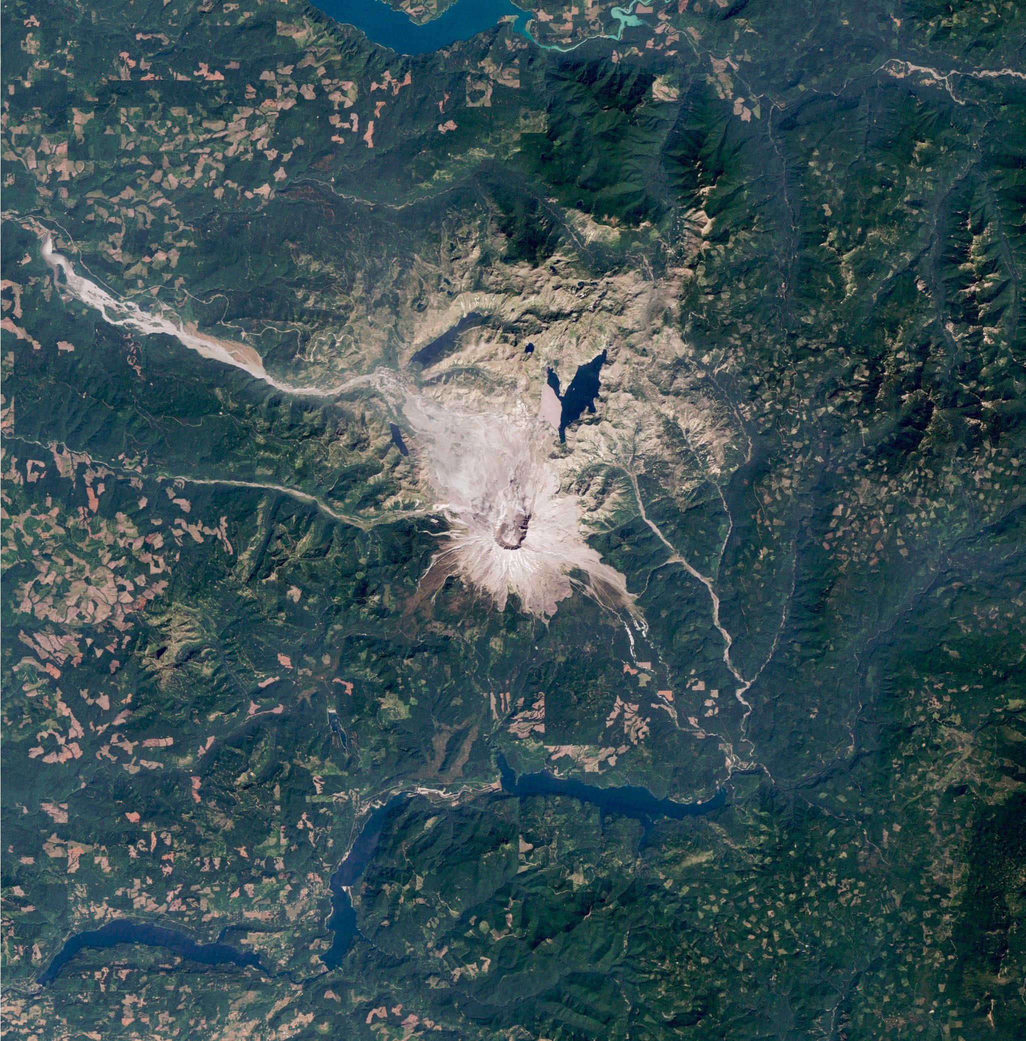 Der grau-braune Mount St. Helens ist mittig im Bild zu erkennen, sonst ist das Bild größtenteils grün.