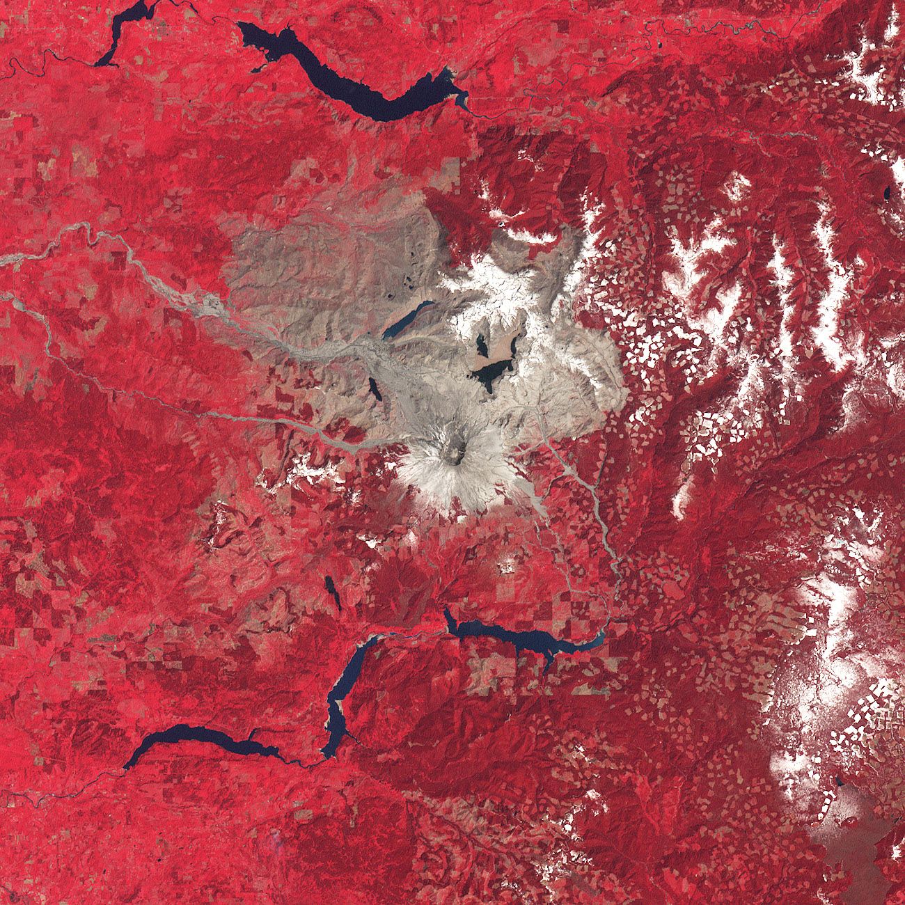 Auf rotem Untergrund ist in grau-braun der Krater des Mount St. Helen zu erkennen.