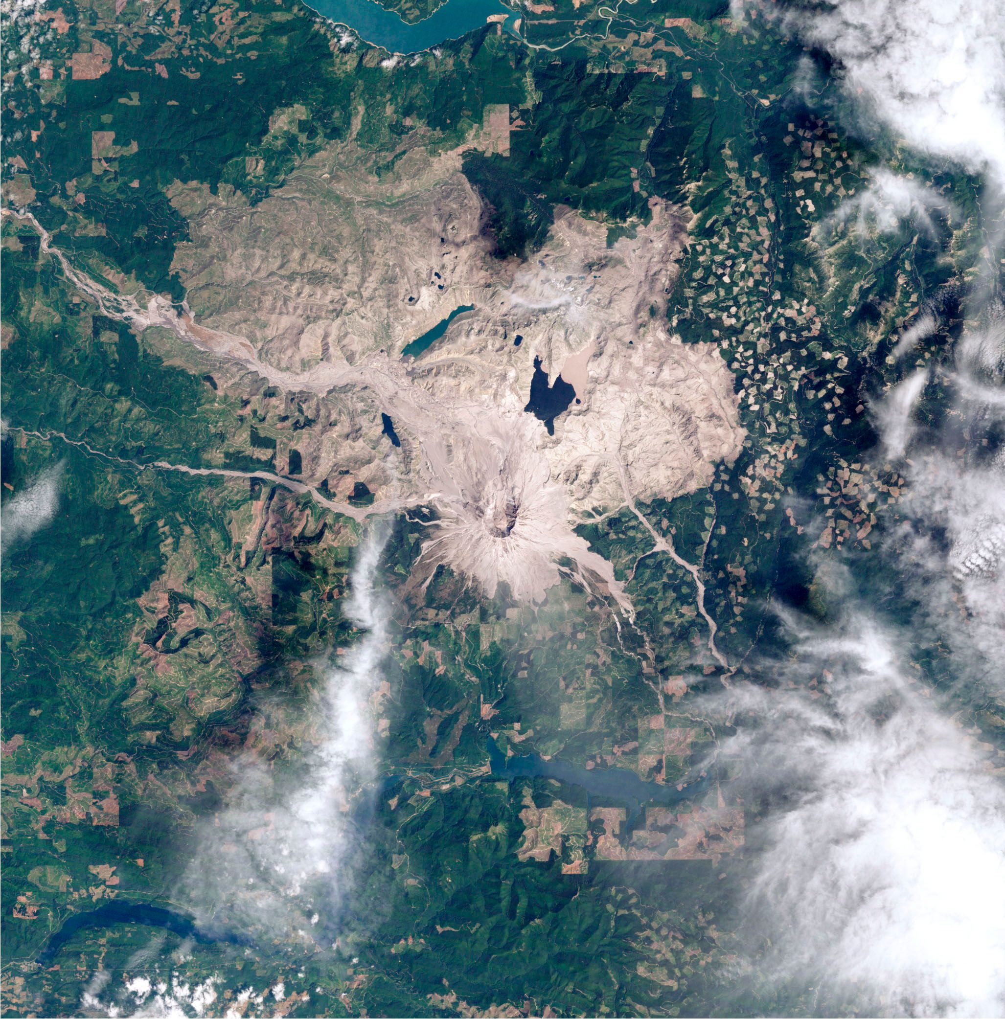 Grüne Landschaft umgibt den grau-braune Mount St. Helens.