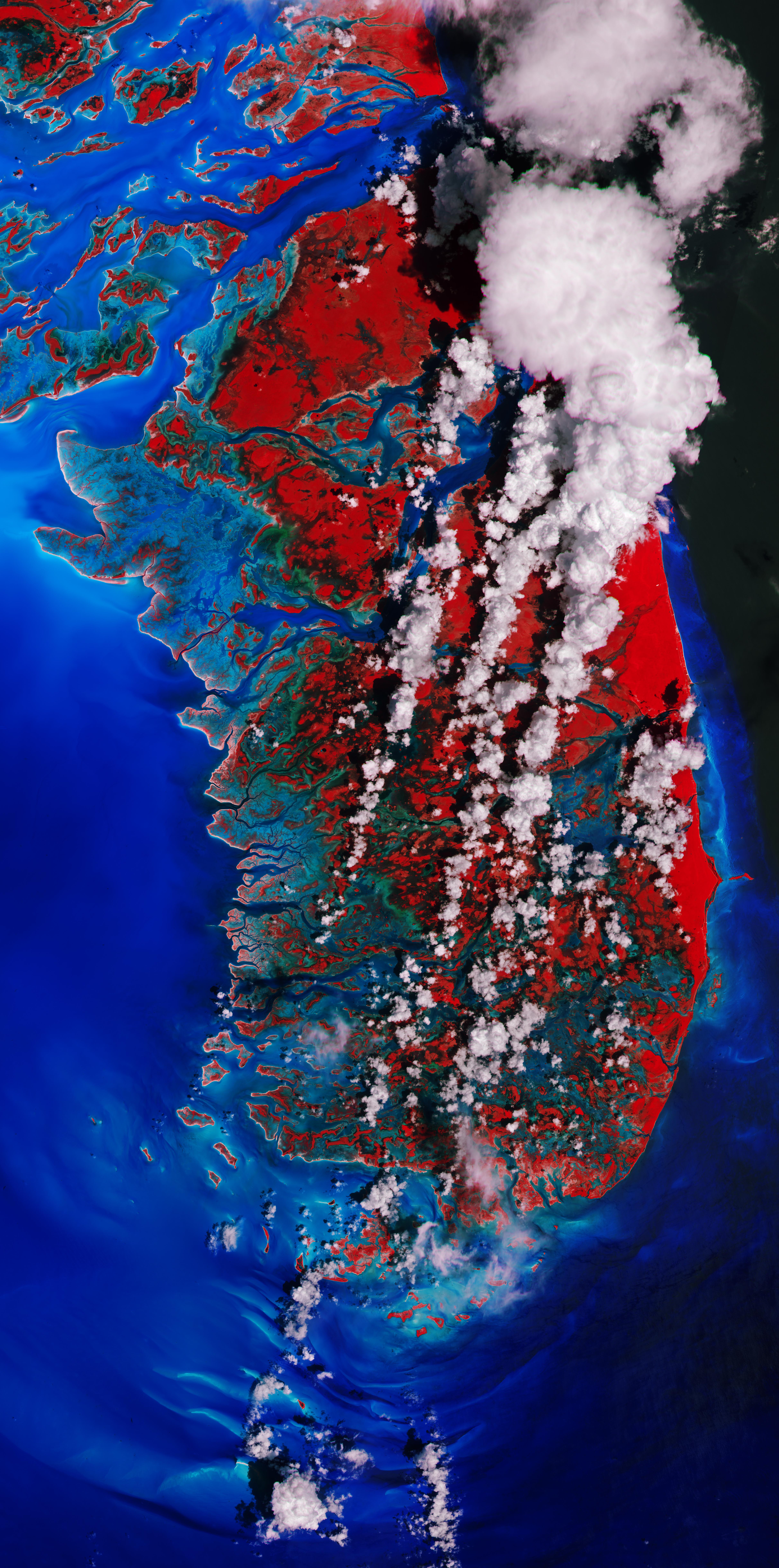 Das False-Color-Bild stellt die Vegetation er Bahamas-Insel Andros rot dar, das Meer ist tiefblau. von links unten nach rechts oben ziehen sich weiße Wolkenstreifen.