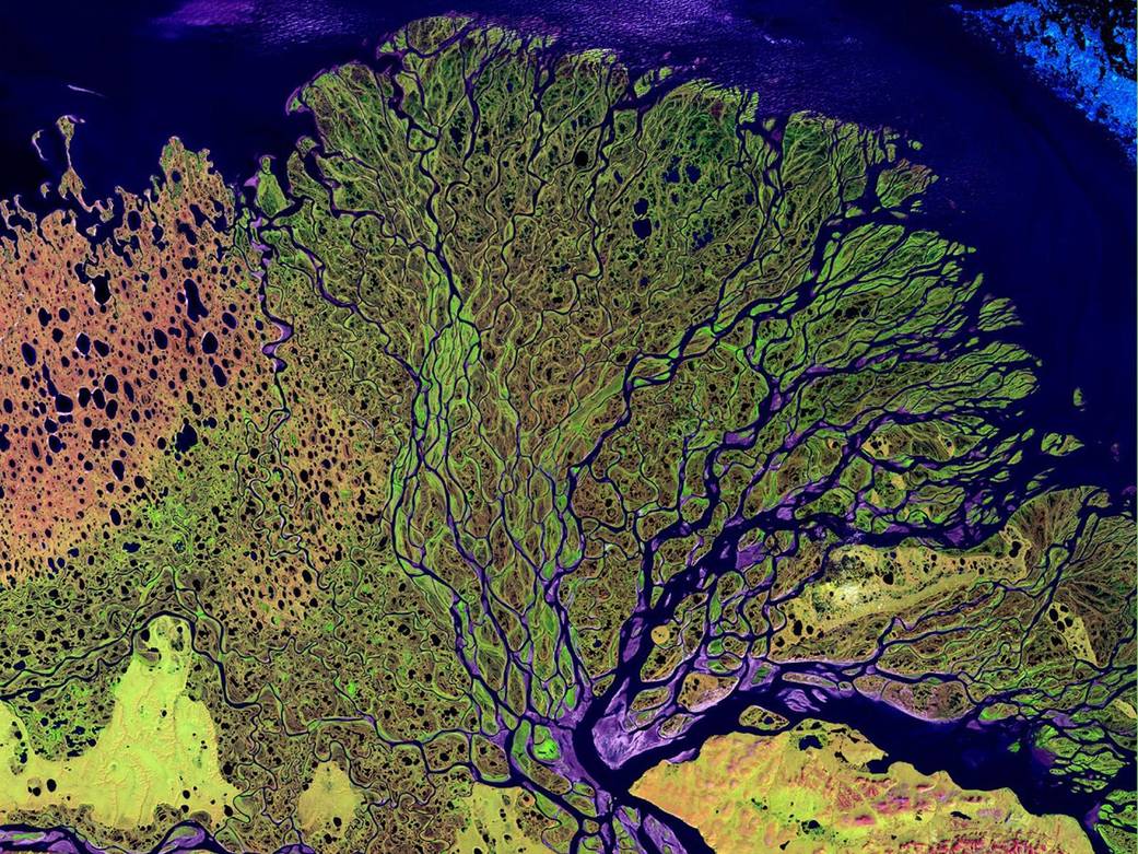 Das falschfarbenbild zeigt ein bunt gefärbtes, feeingliedriges Flussdelta, das von oben einer Koralle ähnelt.